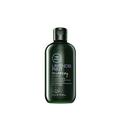 Paul Mitchell Tea Tree Lavender Mint Moisturizing Shampoo - Feuchtigkeits-Shampoo für trockenes, geschädigtes Haar, wohltuende Haar-Wäsche, 300 ml