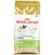 Royal Canin Pug Adult 1,5 kg, 1er Pack (1 x 1.5 kg)