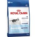 Royal Canin Hundefutter Maxi Junior Active 15 kg, 1er Pack (1 x 15 kg)