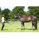 United Sportproducts Germany USG 14600003-398 Longier/Trainingssystem, Warmblut/Vollblut