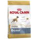 Royal Canin Boxer Junior 12 kg, 1er Pack (1 x 12 kg)