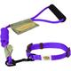 United Pets UPTC1301VL Hundehalsband mit Leine, klein, 25-35 cm, violett