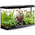 Fluval VUE Aquarienset