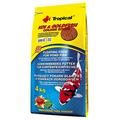 Tropical Koi und Goldfisch Colour Sticks, 1er Pack (1 x 4 kg)