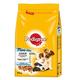 Pedigree Junior Mini Hundefutter mit Huhn und Reis, 6er Pack (6 x 1,4 kg)