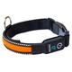 tractive LED Hundehalsband