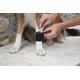 Nature Pet Therapiemanschette/Trainingsbandage mit Gewichten für Hunde (L)