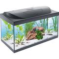 Tetra Starter Line Aquarium-Komplettset mit LED-Beleuchtung Stabiles 54 Liter Einsteigerbecken mit Technik, Futter und Pflegemitteln