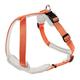 Hunter Hundegeschirr Neopren, Größe L, orange/creme