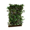 Euro Palms 82507704 Ficus-Hecke, 90 x 130 cm