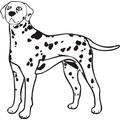 Indigos WG20217-31 Wandtattoo w217 Dalmatiner Hund Dog Wandaufkleber, 96 x 96 cm, Rot
