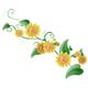 Indigos 4051719960495 Wandtattoo MD421 schöne Orchideen 120 x 42 cm, bunt farbig