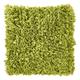 Kissen Romano 45x45 cm Lime