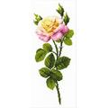 Riolis 1331 Kreuzstich-Set Wunderbare Rose, Baumwolle, Mehrfarbig, 20 x 50 x 0.1 cm