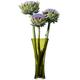 LSA International 38 cm Flower Farbe Trompete Bouquet Vase, grün