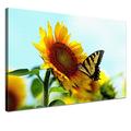 LANA KK - Leinwandbild "Sonnenblume" mit Blumen auf Echtholz-Keilrahmen – Frühling und Natur Fotoleinwand-Kunstdruck in gelb, einteilig & fertig gerahmt in 100x70cm