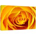 MOOL Leinwand Rose Flower von Hand gespannt auf Holzrahmen mit Giclée-Druck wasserdicht, lackiert, fertig zum Aufhängen, Gelb