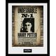 Harry Potter gerahmtes Foto, 40,6 x 30,5 cm Undesirable No 1