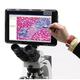 OPTIKA S.R.L 670977 Tablette PC avec caméra pour microscope trinoculaire, TB-5W