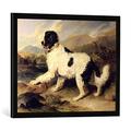 Gerahmtes Bild von Sir Edwin Henry Landseer Newfoundland Dog Called Lion, 1824", Kunstdruck im hochwertigen handgefertigten Bilder-Rahmen, 70x50 cm, Schwarz matt