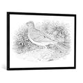 Gerahmtes Bild von Thomas Bewick "The Skylark from the 'History of British Birds' Volume I, pub. 1797", Kunstdruck im hochwertigen handgefertigten Bilder-Rahmen, 100x70 cm, Schwarz matt