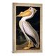 Gerahmtes Bild von John James nach Audubon "American White Pelican, from 'Birds of America', engraved by Robert Havell (1793-1878) published 1836", Kunstdruck im hochwertigen handgefertigten Bilder-Rahmen, 40x60 cm, Silber raya