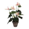 MICA Decorations 949920 Blumen, Anthurium und Spathiphylum, rosa