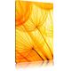 Pixxprint LFs7847_100x70 Pusteblumenmeer im goldenen Licht fertig gerahmt mit Keilrahmen Kunstdruck kein Poster oder Plakat auf Leinwand, 100 x 70 cm