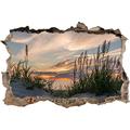 Pixxprint 3D_WD_S2407_62x42 ruhige Graslandschaft am Meer Wanddurchbruch 3D Wandtattoo, Vinyl, bunt, 62 x 42 x 0,02 cm