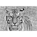 Artis 612684 Tiger Motiv Wanddekoration aus Glas mehrfarbig 45 x 65 cm