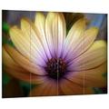 Pixxprint HBVs_1666_80x60 Exotische Blume MDF-Holzbild im Bretterlook Wanddekoration, Bunt, 80 x 60 x 2 cm