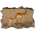 Pixxprint 3D_WD_S1320_62x42 prachtvolle weibliche Indische Gazelle mit Jungtier Wanddurchbruch 3D Wandtattoo, Vinyl, bunt, 62 x 42 x 0,02 cm