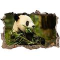 Pixxprint 3D_WD_S1208_92x62 Pandabär Beim Fressen von Bambus Wanddurchbruch 3D Wandtattoo, Vinyl, Bunt, 92 x 62 x 0,02 cm