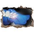 Pixxprint 3D_WD_4956_62x42 einsamer Wassertropfen auf blauer Blüte Wanddurchbruch 3D Wandtattoo, Vinyl, schwarz / weiß, 62 x 42 x 0,02 cm