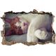 Pixxprint 3D_WD_5139_62x42 schlafende Katze auf Decke Wanddurchbruch 3D Wandtattoo, Vinyl, schwarz / weiß, 62 x 42 x 0,02 cm