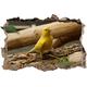 Pixxprint 3D_WD_S1571_62x42 kleiner gelber Kanarienvogel im Wald Wanddurchbruch 3D Wandtattoo, Vinyl, bunt, 62 x 42 x 0,02 cm