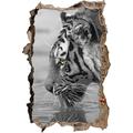 Pixxprint 3D_WD_S4919_62x42 gestreifter Tiger am Wasser Wanddurchbruch 3D Wandtattoo, Vinyl, schwarz / weiß, 62 x 42 x 0,02 cm