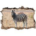 Pixxprint 3D_WD_S1828_92x62 wunderschönes Zebra Wanddurchbruch 3D Wandtattoo, Vinyl, Bunt, 92 x 62 x 0,02 cm