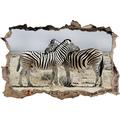 Pixxprint 3D_WD_S2614_92x62 wunderschöne Zebras Wanddurchbruch 3D Wandtattoo, Vinyl, Bunt, 92 x 62 x 0,02 cm