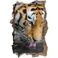 Pixxprint 3D_WD_S4846_62x42 prächtiger Tiger Wanddurchbruch 3D Wandtattoo, Vinyl, schwarz / weiß, 62 x 42 x 0,02 cm