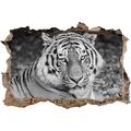 Pixxprint 3D_WD_S4812_62x42 ausruhender stolzer Tiger Wanddurchbruch 3D Wandtattoo, Vinyl, schwarz / weiß, 62 x 42 x 0,02 cm
