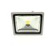 WELL FLOODLIGHT-LEDCOB-VIVID30-WL A++, Flut Beleuchtung, Glas, 22.5 x 14 x 20 cm