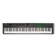 Nektar Impact LX88 + USB MIDI Keyboard Controller with Nektar DAW Integration