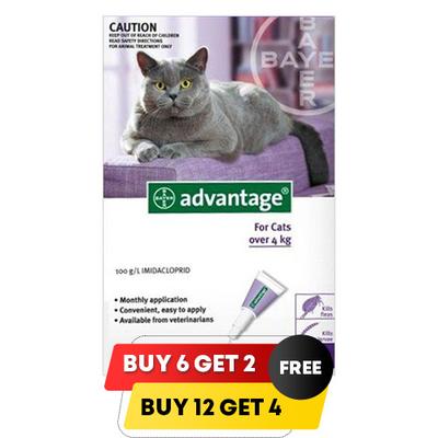 Advantage Cats Over 9lbs (Purple) 4 Months