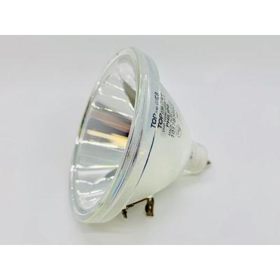 Jaspertronics™ OEM 9281-673-05390 Bulb (Lamp Only) with Philips bulb inside - 1 Year Warranty