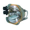 Original SP.83601.001 Lamp & Housing for Optoma Projectors - 240 Day Warranty