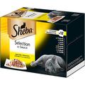 Sheba Katzenfutter Nassfutter, Selection in Sauce Geflügel Variation, 12er Pack (12 x 6 x 85 g)