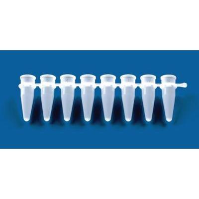 BrandTech Pcr 8 Strip Tubes White Pk125 781325 Unit PK