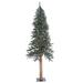 Vickerman 427682 - 6' x 33" Artificial Natural Bark Alpine Tree with 250 Clear Lights Christmas Tree (B907361)