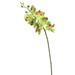 Vickerman 458518 - Real Touch Orchid-7 Heads-Green (FA172205) Home Office Flowers with Stems